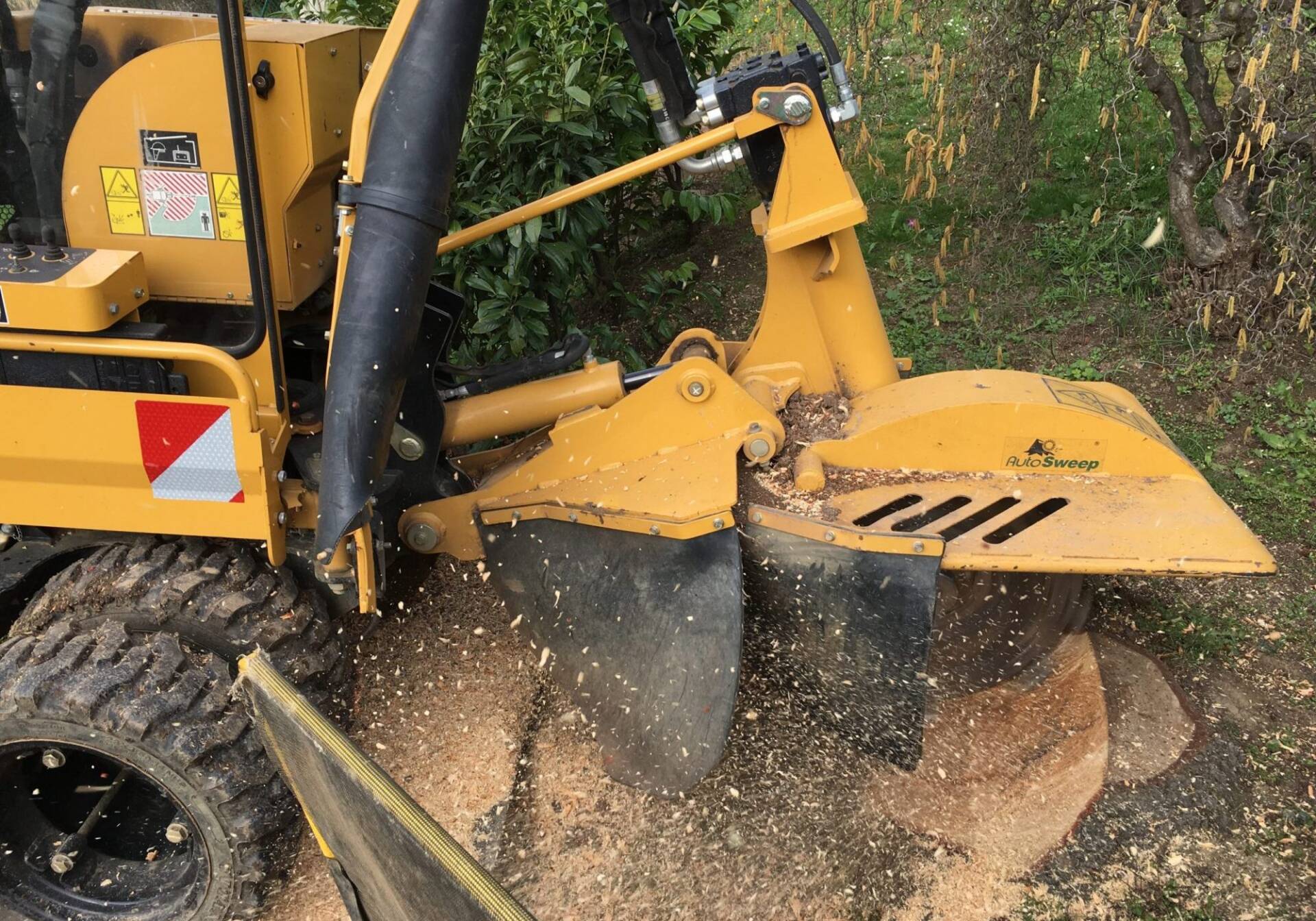 Stubbenfräse fräst einen Wurzelstock aus, Holzspäne fliegen