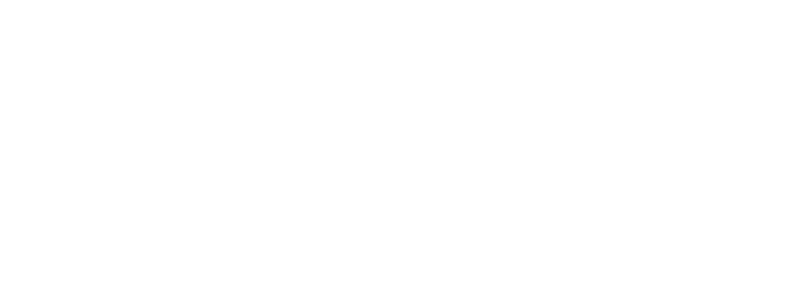 Logo Heimerdinger Baumpflege in Weiß
