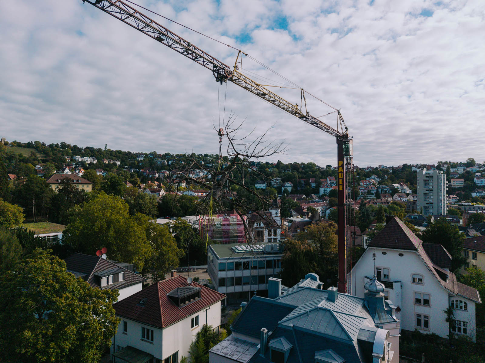 Turmdrehkran hebt ein Kronenteil über einem Stuttgarter Wohngebiet mit Villen