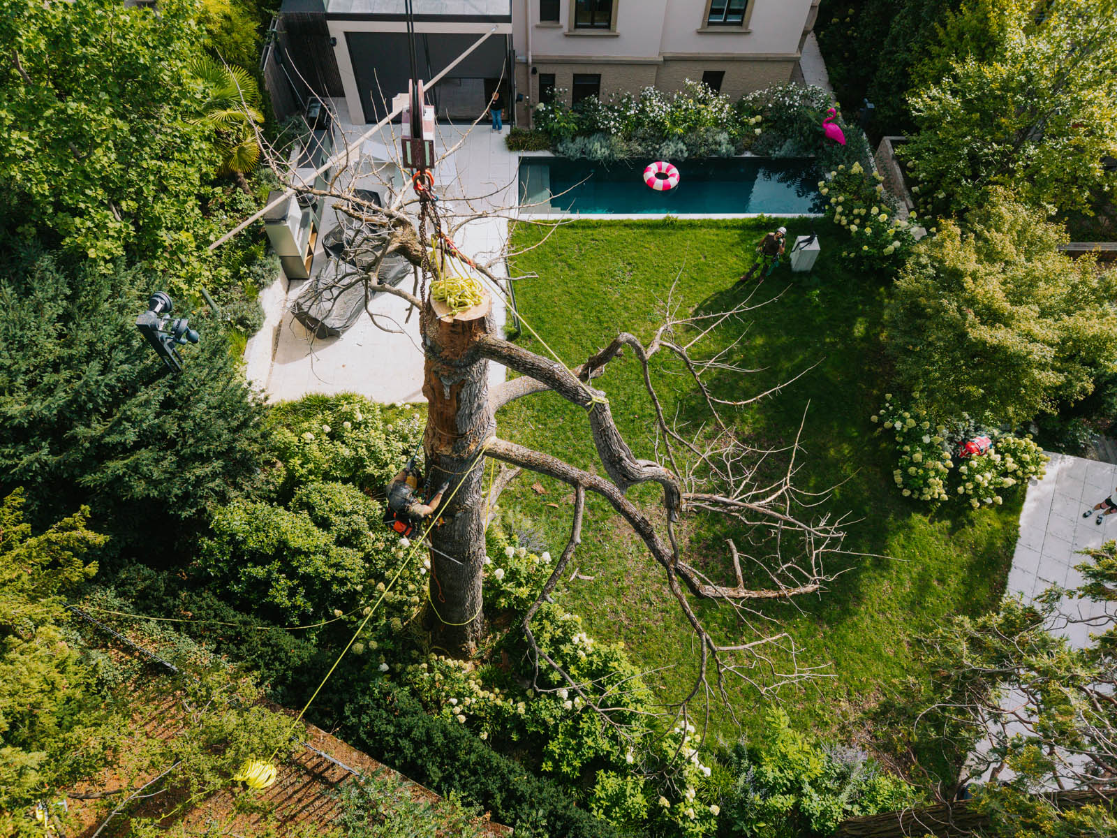 Luftaufnahme eines Gartens in Hanglage, in dem ein Baum stückweise abgetragen wird