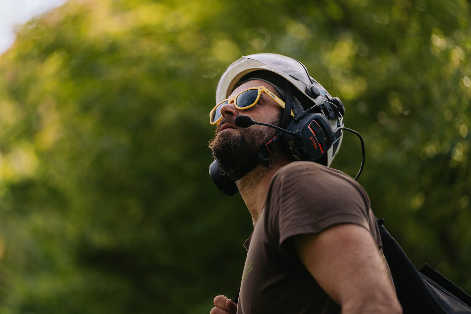 Baumpfleger mit Helm, Gehörschutz und Funk-Headset blickt nach oben in die Baumkrone